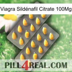 Viagra Sildénafil Citrate 100Mg cialis2
